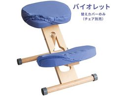 {쏊 v|[V`FApւJo[ oCIbg CV-N8W