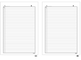 ǈ Je A4 p 2 CCF801 100 CCF801