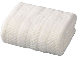 CB JAPAN J gR tFCX^I AC{[