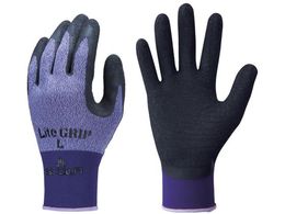 SHOWA VRSw CgObv p[v STCY