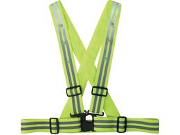 쑽 LEDXgb`Sxg 4.8cm No6100 C t[