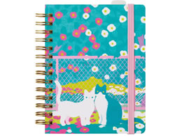 �L���O�W�� �q�g�g�L�m�[�gPR �����~�` HN-PR06