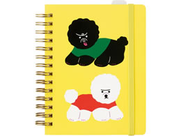 �L���O�W�� �q�g�g�L�m�[�gPR �����R HN-PR09