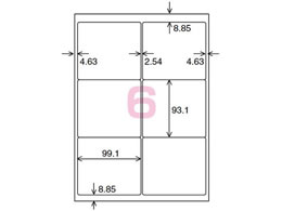 コクヨ カラーLBP&PPC用 紙ラベルA4 6面100枚 LBP-F7166-100N
