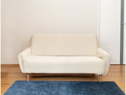 �q���J�� ���炳�琶�n�̃\�t�@�J�o�[ �I�t 2�l�|�� �x�[�W�� QT-668