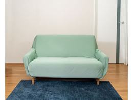 �q���J�� ���炳�琶�n�̃\�t�@�J�o�[ �I�t 2�l�|�� �O���[�� QT-669