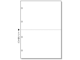 ヒサゴ マルチプリンタ帳票 B5 2面・4穴 100枚 BP2053 | Forestway