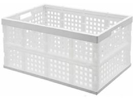 IRIS 202663 肽݃Rei OC-28L i` 202663