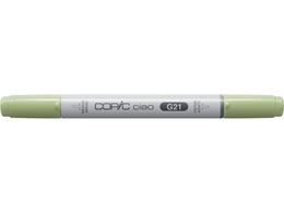 Too RsbN`I CO[ `IG21