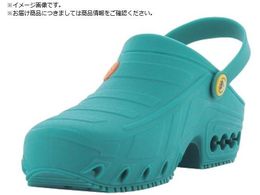 SAFETY J �I�L�V�N���b�O �O���[�� 27.0 28.0