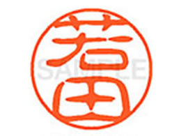 V`n^ XL-11(c) XL1101991