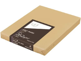 RN Pg A4 100 262g Z-KP49