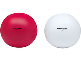 TOEI LIGHT �g�[�G�C���C�g �g����ʑ��� 100(2�F1�g)