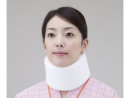 �A�Y���� �z�ŌŒ�J���[[�\�t�g] 8-1833-02