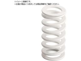 TRUSCO ���^�p�΂� �R�C���X�v�����O ������ݗp �O�a31mm ���R��45mm T-SSWR31-45