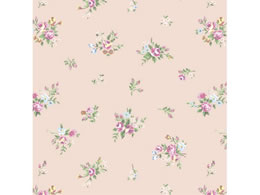 �T�T�K�� ��� ���f�B���[�Y �S�� 50�� 49-2501