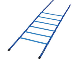 TOEI LIGHT �g�[�G�C���C�g �X�s�[�h���_�[ HG50-10m