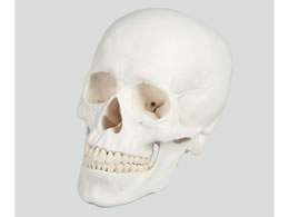 �A�Y���� ���W3�������f�� 180�~190�~120 8-8312-01