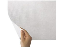 �����Y�� NS�h���V�[�c(���ŋ�)�f�B�X�|�V�[�c 25-2551-00 18125(100X250)80�}�C