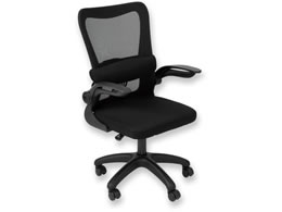 �A�X�J �I�t�B�X�`�F�A���b�V�� �u���b�N OCM01BK