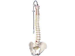 ���{�X���[�r�[�E�T�C�G���e�B�t�B�b�N �Ғ����^���f���W���^ A58�^1