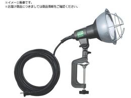 n^ LEDƓ 20WLp^CvLEDvt d10Mt RGL-10W