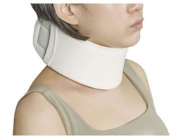 ���{�q�� �G�[�X�J���[�\�t�g(LL) NE-254(1�R�C��)