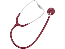 ���f��(�i�[�V���O�t�H�l�b�g)�V���O�� No.116�L �o�[�K���f�B 9-1439-07