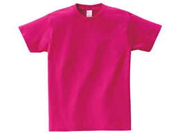 gX@TDUIXsVc@zbgsN@OWT|bus|PSU