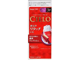 z[[ VG wAJ[EXN[ 邢sAuE 3P