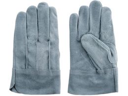 xmO[u v IC661 ICȔwD 5336