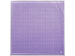 �A�I�g�v���X �N���[�v��� �f���V���X �l�p 200���� �p�[�v��