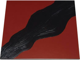 EBM �������і� �� ���p�g���[ ������ 300�~300�~12mm