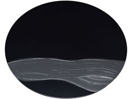 EBM �������і� �� �ۃg���[ �������� ���a300�~12mm