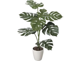 A[gNGCV Xe 1.0m 61280040