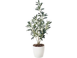 A[gNGCV I[u 73 61280045