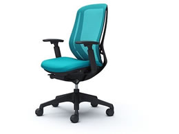 IJ VtB[ I nCobN u[O[ C685XR FMR6