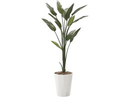 A[gNGCV Xg`A 1.6m 61280019