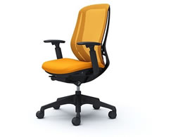 IJ VtB[ I nCobN IW C685XR FMR8