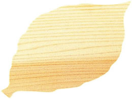 ���}�R�[ �����~ 100���� �؂̗t 2492250