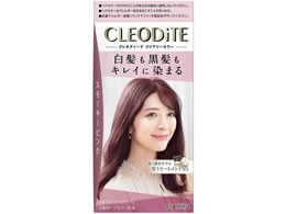 _ NIfB[e NA[J[ p X[L[sN