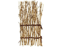 �ݗm �������� 9�~18cm 21906 5739151