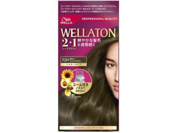 EGWp EGg[ 2+1 ~L[^Cv EX 7GM }bguE