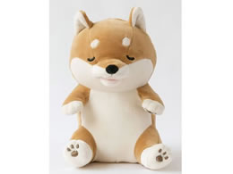 JCHw Ê݃nn R^E VoCk YE-HM001KT