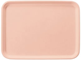 EBM pg[ AP-440-P sN FRP 1267500