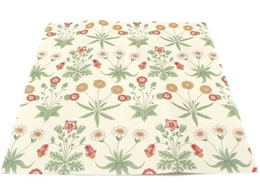 J mt CNV[gXNGA Morris&Co. Daisy MTCARSW08