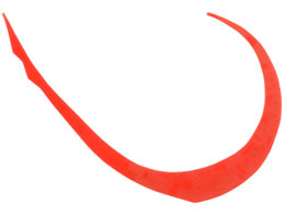 WbJ rrXCb`T+lN^C}CNJ[[Ch #uCgIW