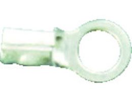  iCpGh NV12p NT-12