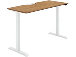 RN V[NGX M Fo[W1600 XeBbN~fBA W