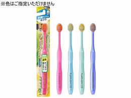 GrX v~APA C 6񒴃RpNg ӂ